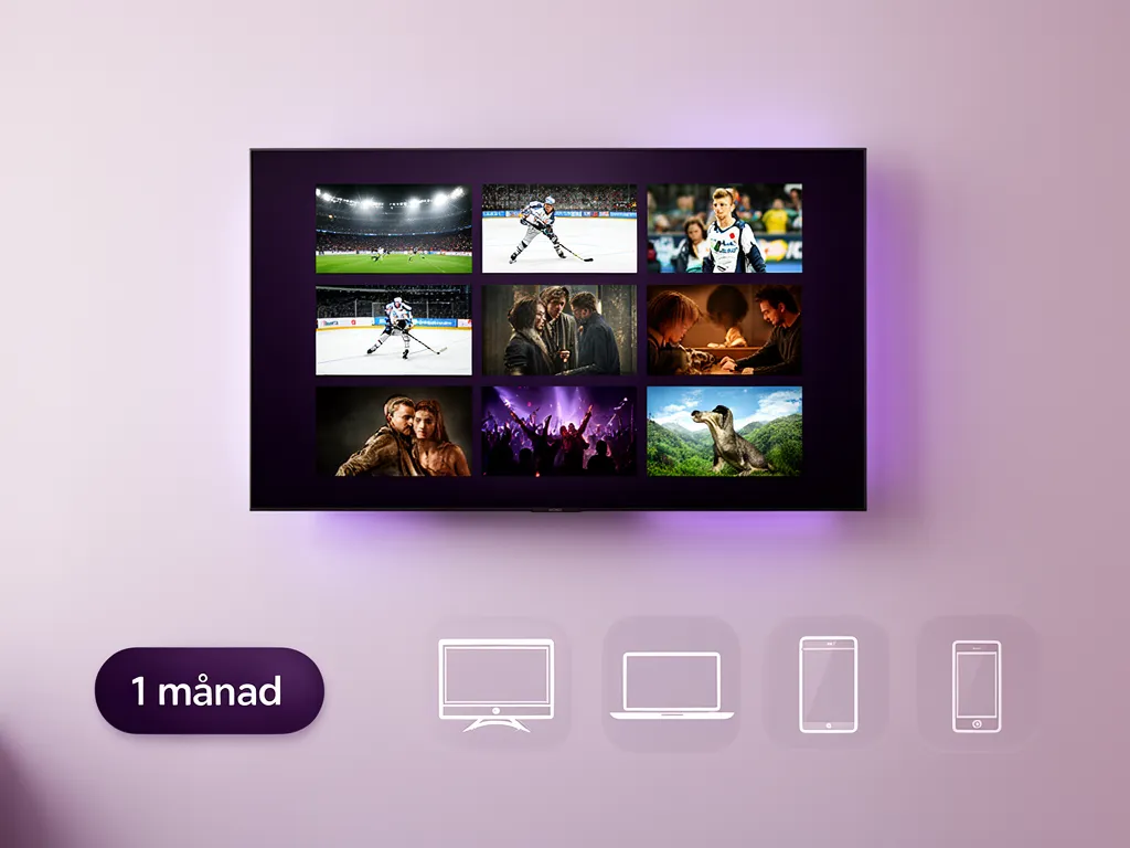 iptv abonnemang